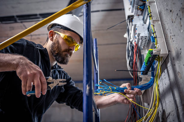 Best Electrical Troubleshooting Services  in Lutz, FL