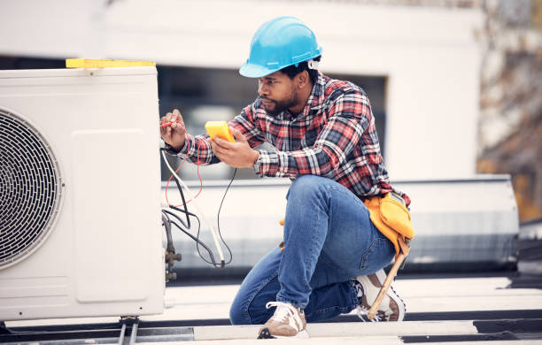 Best Electric Panel Repair  in Lutz, FL
