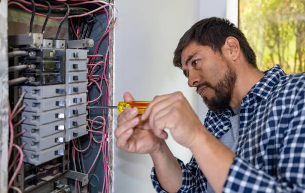 Best Electrical Upgrades for Homes  in Lutz, FL